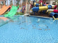 -苏州乐园森林水世界