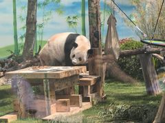 -无锡动物园·太湖欢乐园