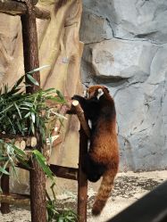 -Zoolung Zoolung动物主题公园(海信广场店)