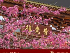 -大佛古寺
