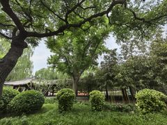 -三元梅园(团结湖店)