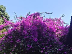 -成都杜甫草堂博物馆
