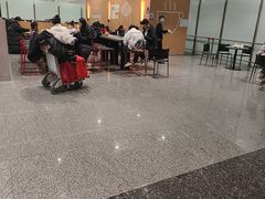 -麦当劳(北京大兴机场二层国内到达(安检外)店)