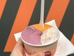-Dip in Gelato(富民路店)