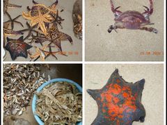 -东戴河风景区-止锚湾