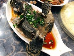 清蒸海鱼-七鲜渔港美食餐厅(巽寮湾海景店)