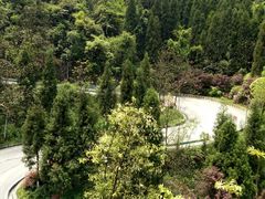 -娄山关景区