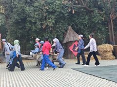 -安徽禾泉小镇