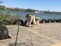 -永定河休闲森林公园