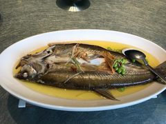 鸡汁长江嫩白鱼-小厨娘淮扬菜(天印大道店)