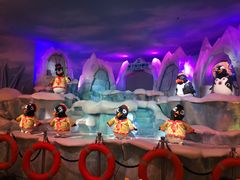 -帝企鹅自助餐厅•儿童岛•真企鹅(长隆企鹅酒店)