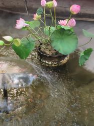 -特味村·宴会厅(生态园店)