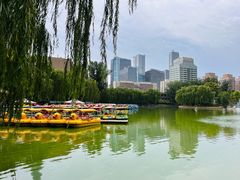 -团结湖公园