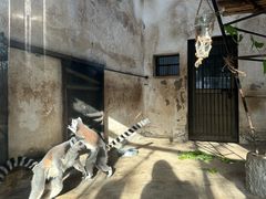 -石家庄市动物园