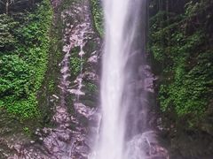 -莫里热带雨林景区