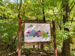 -本溪汤沟绿石谷森林公园