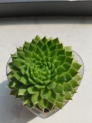 点击看大图 -尚艺造型.剪烫染.接发