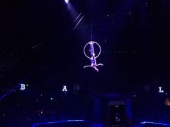 -珠海横琴长隆《卡卡虎奇遇记》