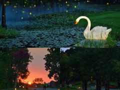 -南京银杏湖乐园