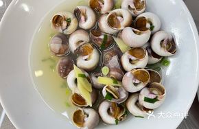 Salted Water Conch