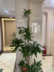 -伊美康医疗美容·抗衰中心