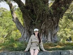 -Cornwall Park Bistro