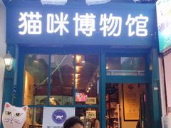 -猫咪博物馆(顶澳仔猫街店)