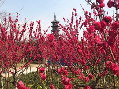 -上海市龙华烈士陵园