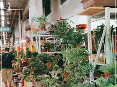 -双季花艺园艺市场(浦东店)