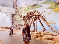 -自贡恐龙博物馆