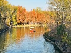 -洛阳市隋唐城遗址植物园