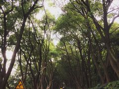 -上海市保健医疗中心(华东疗养院)