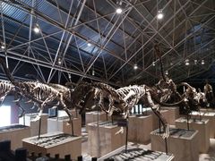 -世界恐龙谷景区