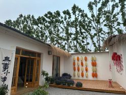 -DORA kids 朵拉儿童摄影花园店