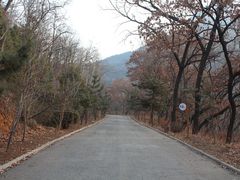 -抱犊崮国家森林公园