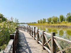 -野鸭湖国家湿地公园
