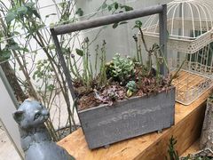 -拾壹cafe·工作室