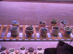 -富力希尔顿酒店·地阔自助餐厅