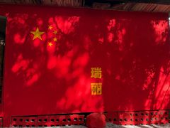 -瑞丽独树成林风景区