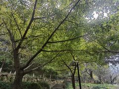 -白马涧龙池景区