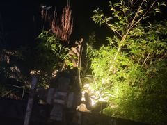 -深业半汤御泉庄温泉