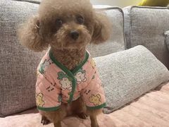 -宠福鑫康馨动物医院·骨科·眼科
