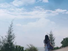 -广东惠东海龟国家级自然保护区