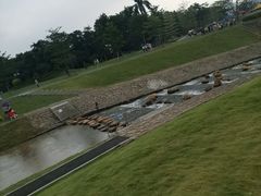 -光明小镇欢乐田园