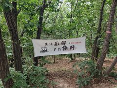 -六里坪国家森林公园