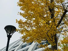 -杭州九堡客运中心