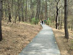 -帽儿山国家森林公园