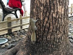 -西湖外事游船(湖滨二公园外事游船码头)