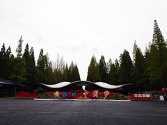 -东平国家森林公园