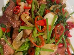 -巴依老爷新疆美食(工体旗舰店)